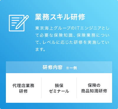 業務スキル研修。東京海上グループのITエンジニアとして必要な保険知識、保険業務について、レベルに応じた研修を実施しています。研修内容の一例。代理店業務研修、損保ゼミナール、保険の商品知識研修。