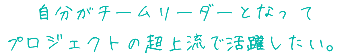 自分がチームリーダーとなって
プロジェクトの超上流で活躍したい。